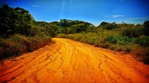2017-01-22-Estrada-de-terra-no-Mar-do-Norte-a-caminho-da-praia-thumbfoto.jpg