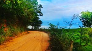 2017-02-02-Linha-Marrom-em-Macae-RJ-thumbfoto.jpg
